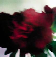 Crédit photo Jean-Michel HERIN Crédit photo Jean-Michel HERIN