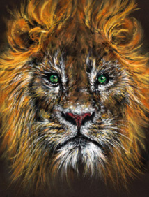 Douleurs d’amputation. L'hypnose comme remise en mouvement. Douleurs d’amputation. L'hypnose comme remise en mouvement.