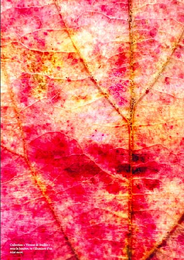 Lombalgies: accompagnement hypno-postural. Revue hypnose et thérapies brèves 73. Lombalgies: accompagnement hypno-postural. Revue hypnose et thérapies brèves 73.