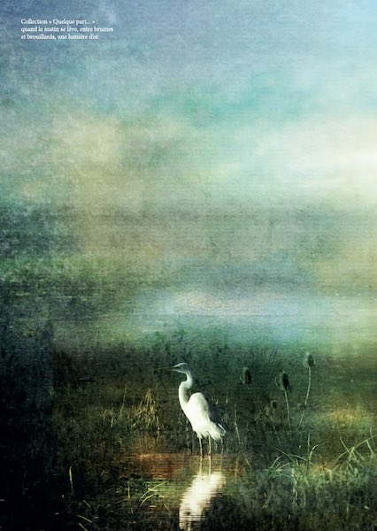 Douleurs d’épaule. Revue hypnose et thérapies brèves 73. Douleurs d’épaule. Revue hypnose et thérapies brèves 73.