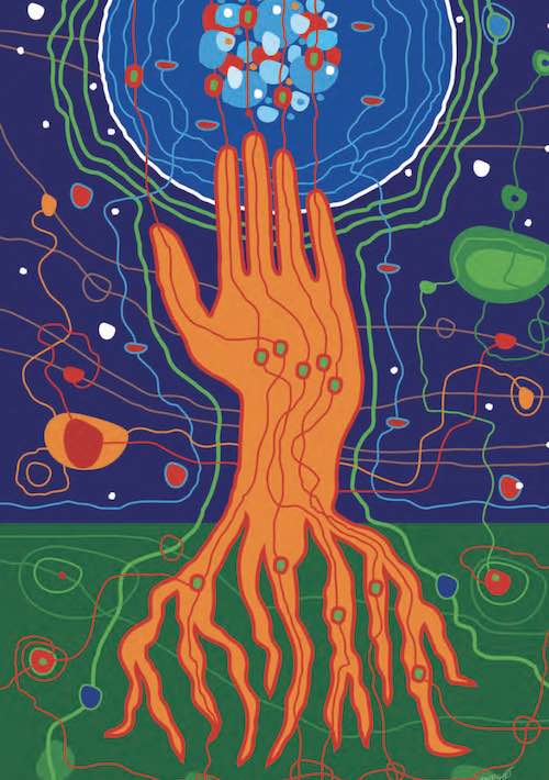 Illustration de Caroline Berthet