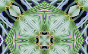 En orthophonie, la respiration. Isabelle HUÉ-DELETTREZ En orthophonie, la respiration. Isabelle HUÉ-DELETTREZ