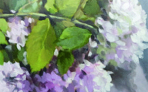 Intérêt de la pratique de l’hypnose dans la maladie de Parkinson Intérêt de la pratique de l’hypnose dans la maladie de Parkinson