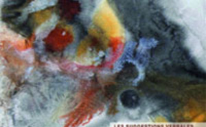 Hypnose et anesthésie: suggestions verbales. Dr Laurence LE GOURRIER Hypnose et anesthésie: suggestions verbales. Dr Laurence LE GOURRIER