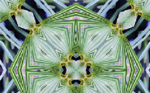 Observer et utiliser la respiration. Revue Hypnose et Thérapies Brèves 48 Observer et utiliser la respiration. Revue Hypnose et Thérapies Brèves 48