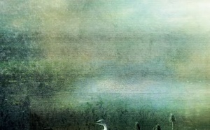 Douleurs d’épaule. Revue hypnose et thérapies brèves 73. Douleurs d’épaule. Revue hypnose et thérapies brèves 73.