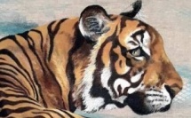 Autohypnose pour mon épaule gauche. Revue Hypnose et Thérapies Brèves 78.